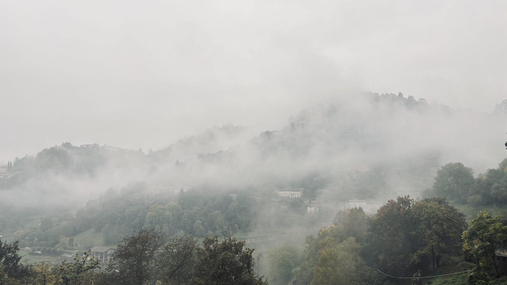 2025-10-30--Migratory-Movement